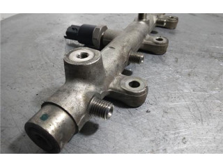 Vstřikovací lišta 0445214019, 0445214019   Peugeot 307    RHS (DW10ATED) 