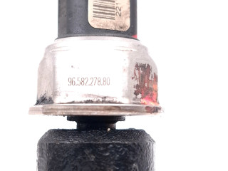 Жиклер (жиклеры) (форсунка (форсунки) 221704640566, 9658227880 Citroen C4 I Picasso