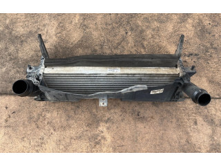 Интеркулер  144614JA0B, EH940003   Mercedes-Benz W470 