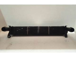 Интеркулер  52014780AA   Jeep Grand Cherokee (WK) 