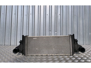 Интеркулер 2515000000, A2515000000 Mercedes-Benz R W251