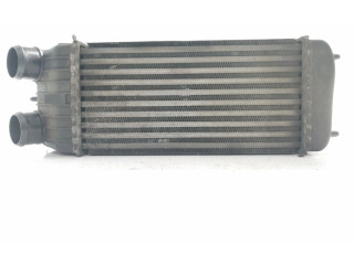 Интеркулер  9651184880   Peugeot 207 