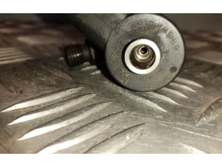 Форсунка 0445110218, B44511735301 Jeep Cherokee III KJ