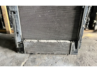 Вентилятор радиатора braknumeruczci BMW X3 F25