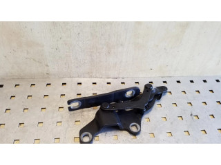 Петля (петли) капота двигателя