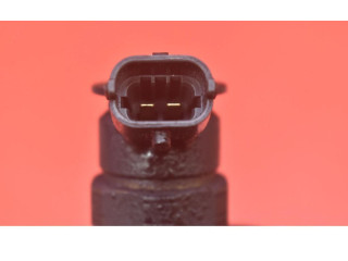 Форсунка 0445110252, 0445110252    Citroen Nemo   