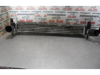 Интеркулер Skoda Rapid (NH)