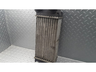 Интеркулер  9648551880, 876923JF   Citroen DS4 1.6