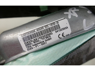 Боковая подушка безопасности DX2314K160AA Jaguar XF