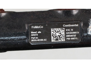 Топливная рампа 1767641, BK3Q9D280AC Ford Ranger для двигателя SA2R