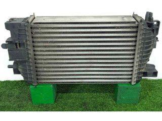 Интеркулер  13283251-R3445004, 315X218X64   Opel Meriva A 