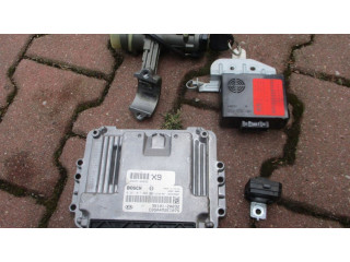 Комплект блоков управления 391012A032, 0281017002   KIA Picanto