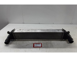 Интеркулер  8E0650000, 8E0650000   Fiat Punto (199) 
