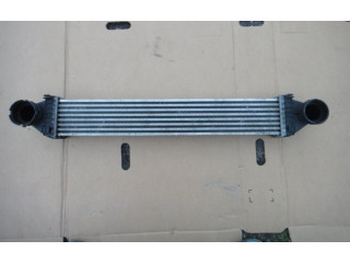 Интеркулер A1695000000 Mercedes-Benz A W169