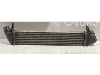 Интеркулер  8200409045, 8200409045   Dacia Sandero 
