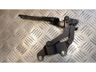 Петля (петли) капота двигателя