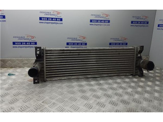 Интеркулер 621970, 621970 SsangYong Actyon