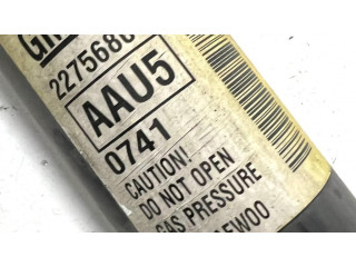 Задний aмортизатор      