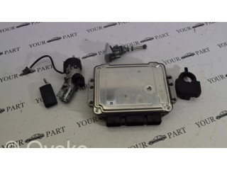 Комплект блоков управления 9662670780, 0281011966   Citroen C4 I