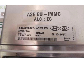 Řídící jednotka 391102X547, 5WY5712A KIA Rio 2004