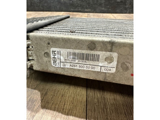 Интеркулер  A2515000000   Mercedes-Benz R W251 