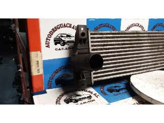 Интеркулер SsangYong Actyon sports I