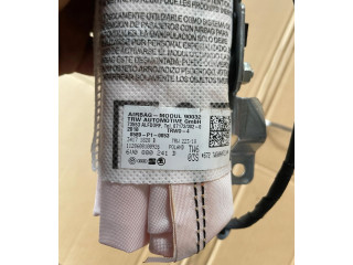 Подушка безопасности водителя 6V0880241D   Skoda Fabia Mk3 (NJ)