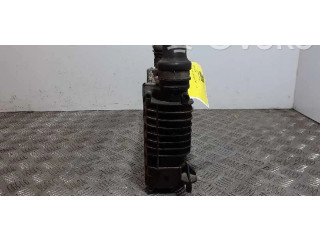 Интеркулер 8200471885, 9680545980 Renault Clio III