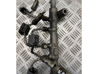 Vstřikovací lišta Nissan Murano Z51