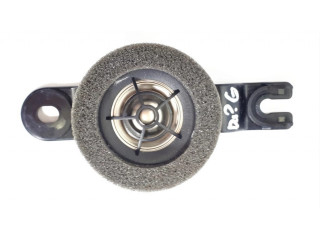 Громкоговоритель (громкоговорители) в задних дверях