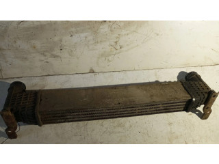 Интеркулер  132002748A   Ford Galaxy 1.9