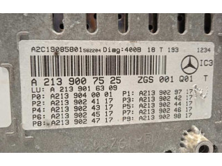Панель приборов A2139007525, A2139016309   Mercedes-Benz E AMG W210       