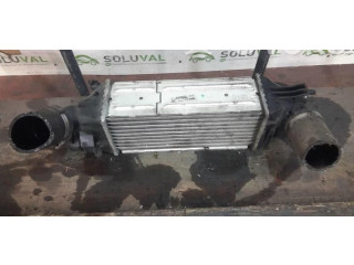 Интеркулер  NT   Citroen C5 