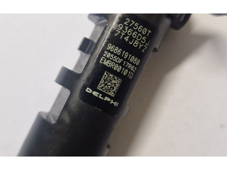 Форсунка 9686191080, 27560T Ford S-MAX