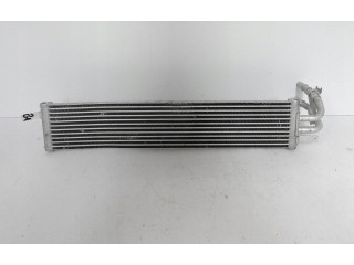 Интеркулер  62136386, 25202626   BMW X3 G01 