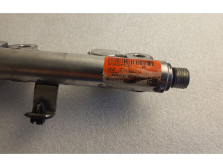 Топливная рампа GF2A024F0382, 2A14125Y   KIA Sportage   для двигателя G4FD