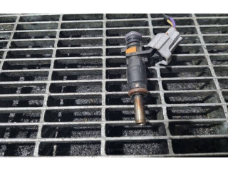 Форсунка 166008992R, J323004011 Dacia Duster II H4M 738