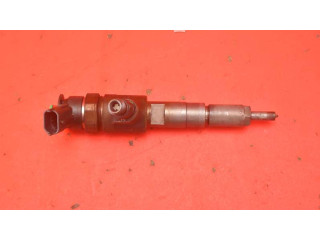 Форсунка 0445110252, 0445110252 Citroen Nemo