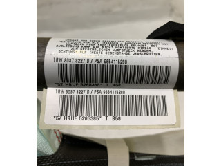 Боковая подушка безопасности 9654115280, 30373227D   Citroen C4 I Picasso