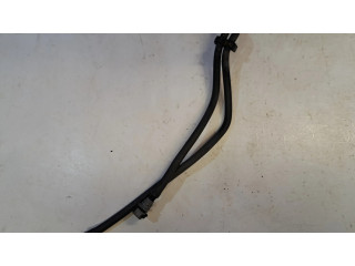 Топливная трубка (трубки)