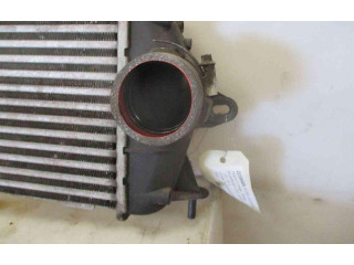Интеркулер 8200411160, 8200411160 Renault Trafic II (X83)