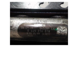 Топливная рампа 8200615537, 8200615537 Renault Clio II для двигателя F8Q-632