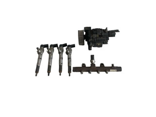 Комплект форсунок H8200704210, H8200704191    Dacia Duster   