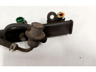 Топливная рампа Mitsubishi Grandis