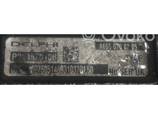 Топливная рампа A6650700295, A6650700295   SsangYong Rexton I  