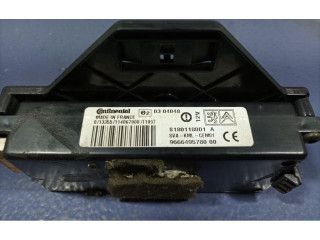 Блок управления голосом 9666495780, 9666495780 Citroen C4 I