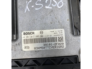 Блок управления двигателя 391012F020, 1039S52790 KIA Sorento