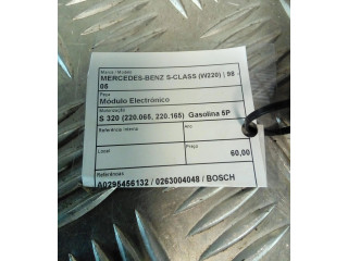 Řídící jednotka A0295456132, 0263004048 Mercedes-Benz S W220