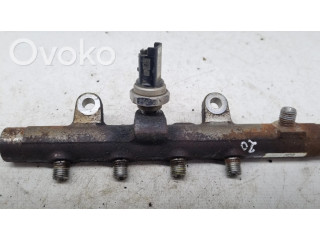 Топливная рампа 8200296867   Renault Megane III 0.0 