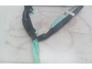 Надувная подушка для крыши 8V0880742A    Audi RS3